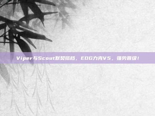 Viper与Scout默契搭档，EDG力克V5，强势晋级！