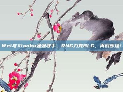 Wei与Xiaohu强强联手，RNG力克BLG，再创辉煌！