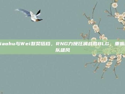 Xiaohu与Wei默契搭档，RNG力挽狂澜战胜BLG，重振战队雄风