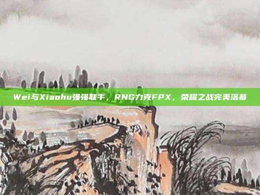 Wei与Xiaohu强强联手，RNG力克FPX，荣耀之战完美落幕