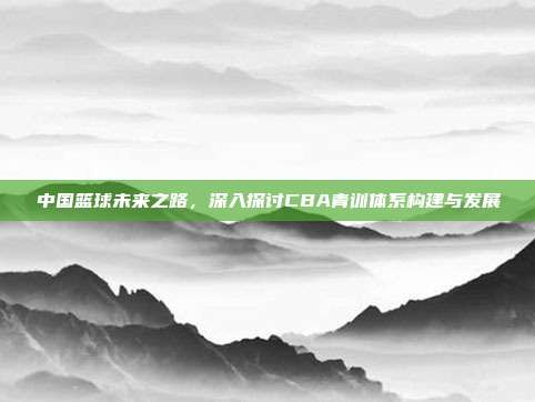 中国篮球未来之路，深入探讨CBA青训体系构建与发展