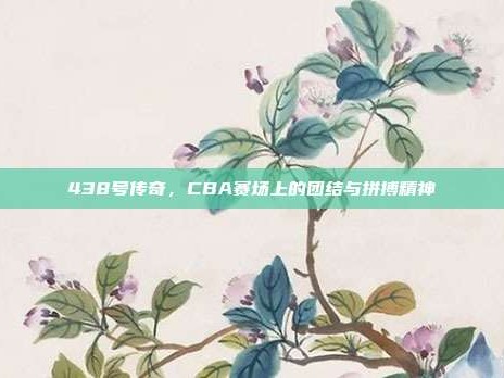 438号传奇，CBA赛场上的团结与拼搏精神