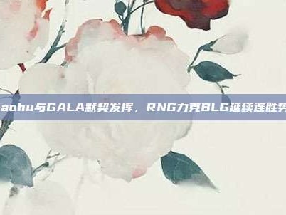 Xiaohu与GALA默契发挥，RNG力克BLG延续连胜势头