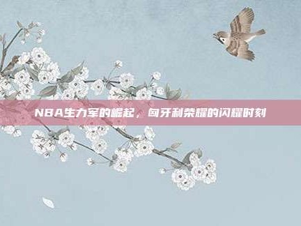 NBA生力军的崛起，匈牙利荣耀的闪耀时刻