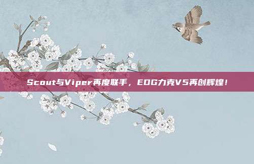 Scout与Viper再度联手，EDG力克V5再创辉煌！