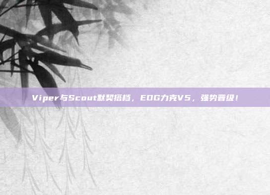 Viper与Scout默契搭档，EDG力克V5，强势晋级！