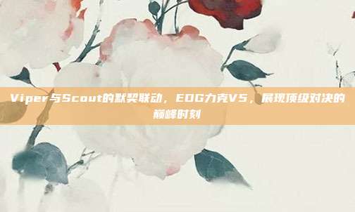 Viper与Scout的默契联动，EDG力克V5，展现顶级对决的巅峰时刻