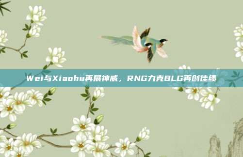 Wei与Xiaohu再展神威，RNG力克BLG再创佳绩