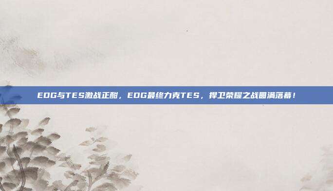 EDG与TES激战正酣，EDG最终力克TES，捍卫荣耀之战圆满落幕！