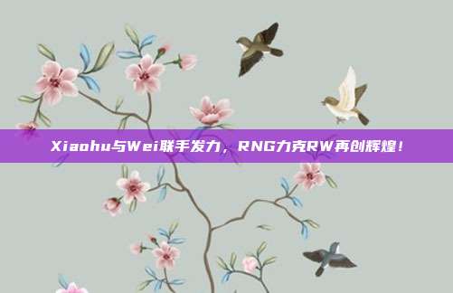 Xiaohu与Wei联手发力，RNG力克RW再创辉煌！