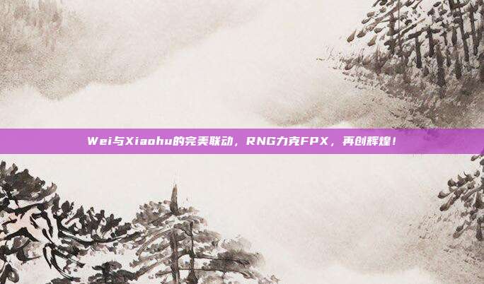 Wei与Xiaohu的完美联动，RNG力克FPX，再创辉煌！