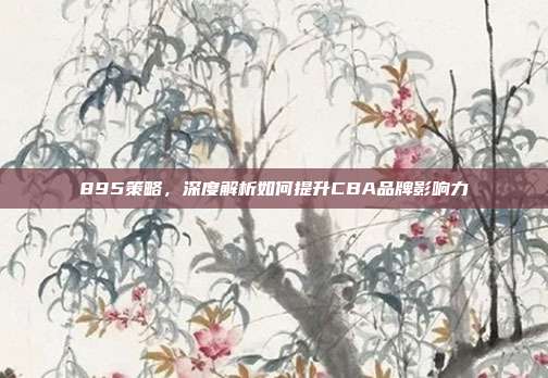 895策略，深度解析如何提升CBA品牌影响力