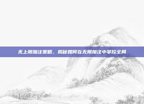 无上限加注策略，揭秘如何在无限加注中掌控全局