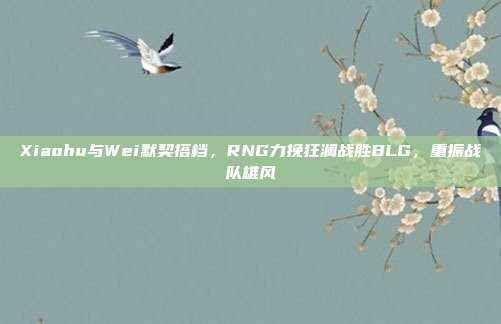 Xiaohu与Wei默契搭档，RNG力挽狂澜战胜BLG，重振战队雄风