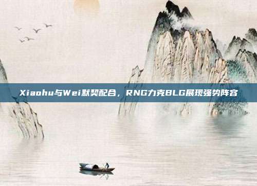 Xiaohu与Wei默契配合，RNG力克BLG展现强势阵容