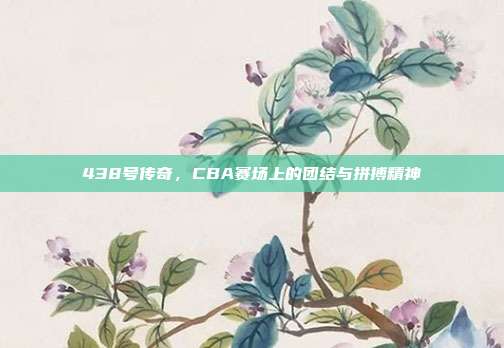 438号传奇，CBA赛场上的团结与拼搏精神