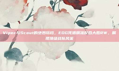 Viper与Scout的绝妙搭档，EDG凭借精准配合大胜RW，展现顶级战队风采