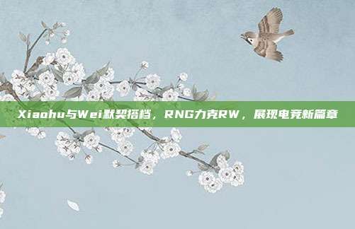 Xiaohu与Wei默契搭档，RNG力克RW，展现电竞新篇章